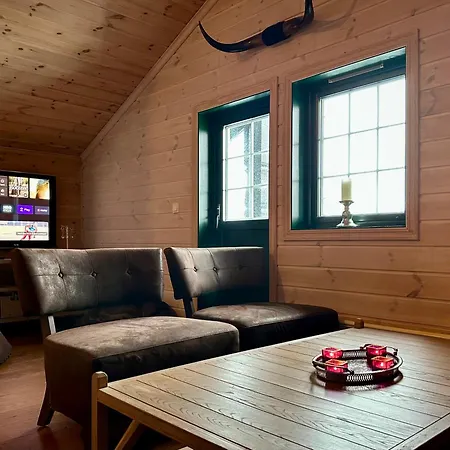 True Ski-in-out With Sauna & View At Hafjell *